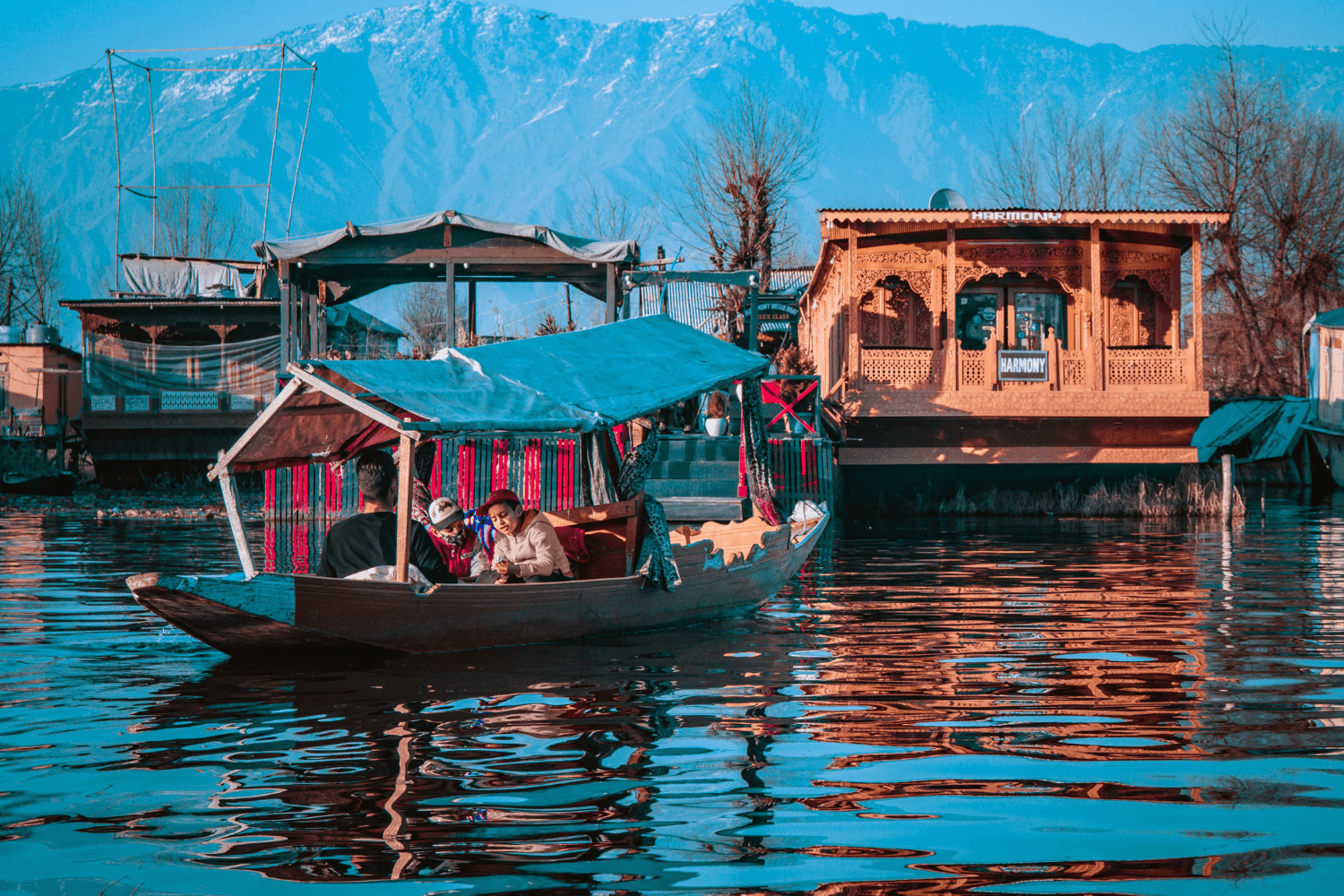 Kashmir Delight